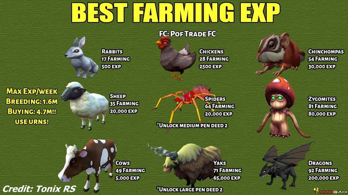 20 Ways on How to Use the Best Farming Guide rs3 Structure